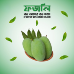ফজলি (Fazli) ১০ কেজি