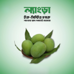 রাজশাহী  ল্যাংড়া (Langra) 10 kg