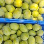 রাজশাহী  ল্যাংড়া (Langra) 10 kg